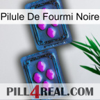 Black Ant Pill 03